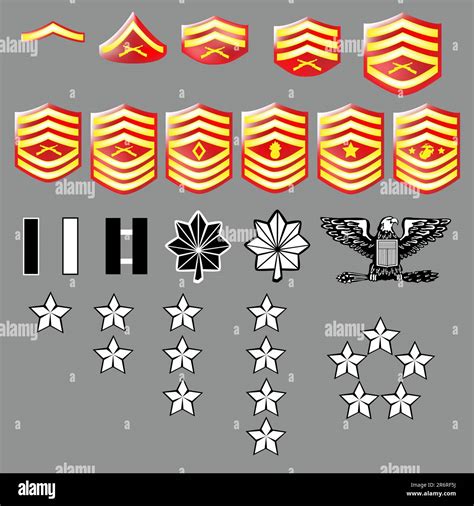 Marine Corps Ranks Enlisted And Officers