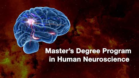 Master In Neuroscience Youtube