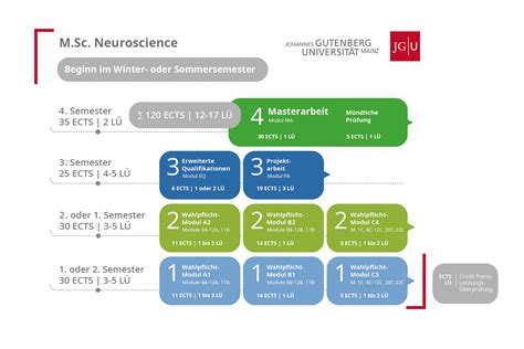 Master Neuroscience Fachbereich Biologie