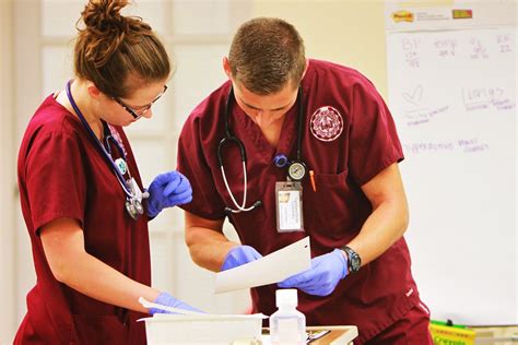 Master Of Science In Nursing Msn Programs