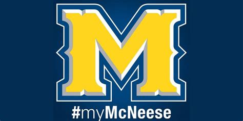 Mcneese Awarded For Online Innovation During Hurricane Recovery