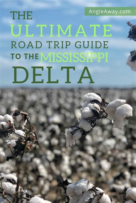 Mississippi Delta Road Trip Your Ultimate Guide Motorcycle