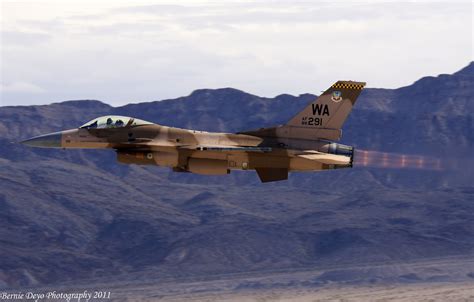 Nellis 2011