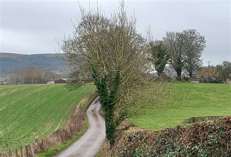 Nether Silton Manor House Farm Mel Towler Geograph Britain And Ireland