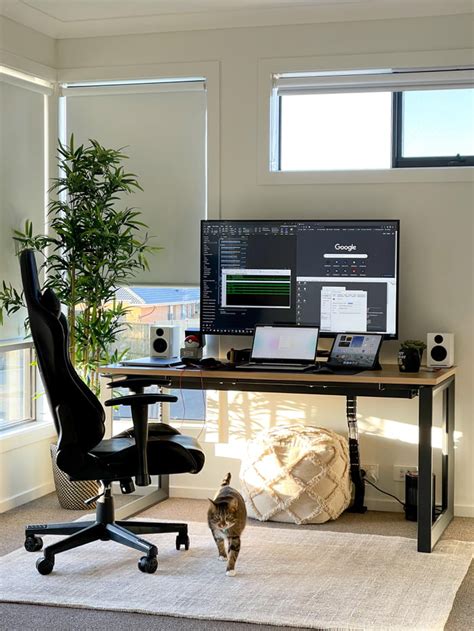 New Wfh Setup Love How The Morning Sunlight Hits 9Gag