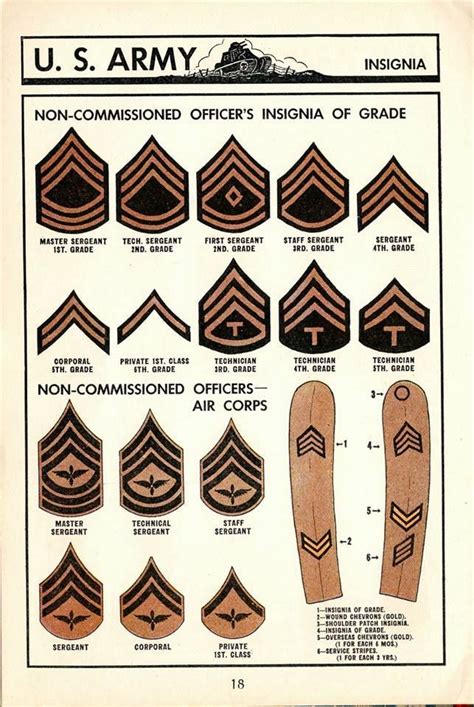 Non Commissioned Officers Rank Insignia Chevrons U S Army Between