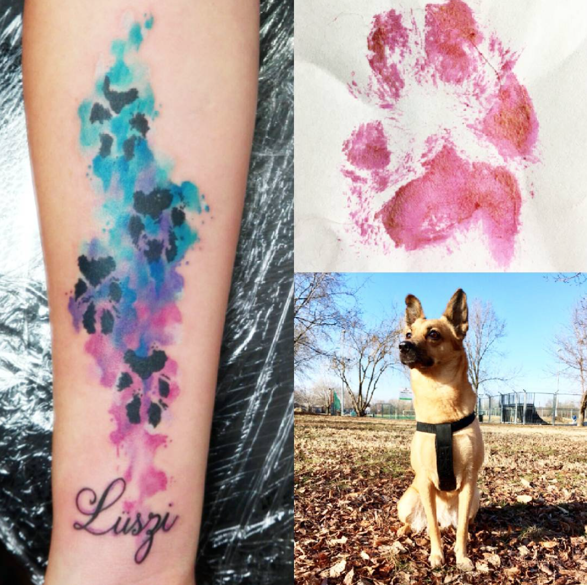 Nose Print Tattoo Pawprint Tattoo Dog Memorial Tattoos Dog Paw Tattoo