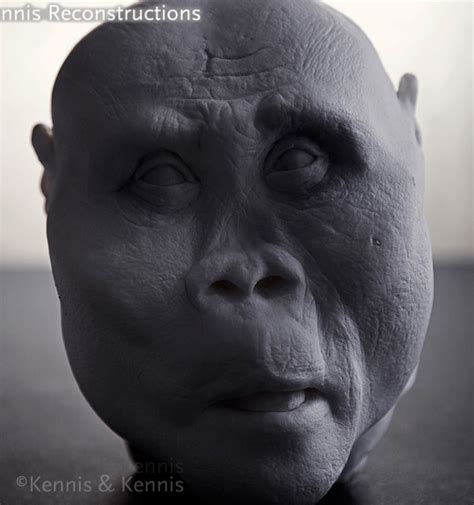 Paranthropus Boisei Knm Wt 17400 Female Reconstruction By Kennis Amp Kennis Early Humans