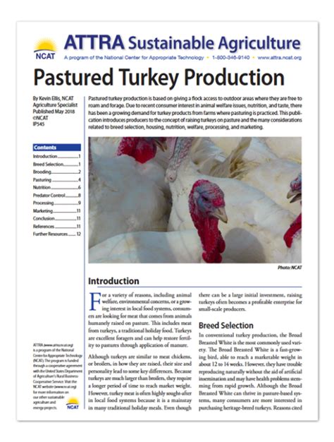 Pastured Turkey Production Attra Sustainable Agriculture