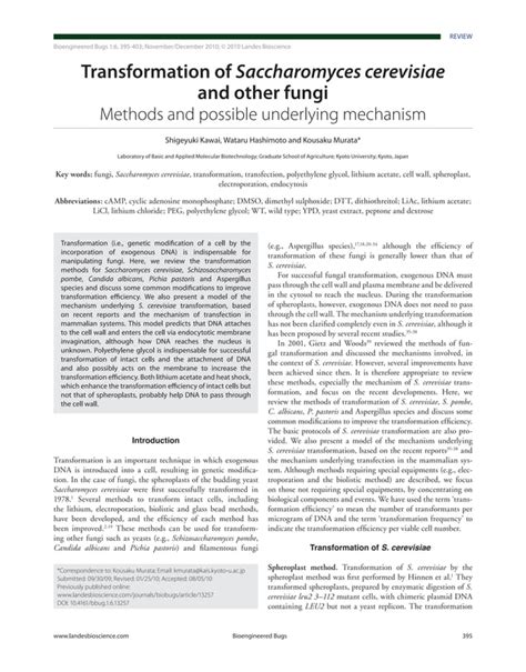 Pdf Transformation Of Saccharomyces Cerevisiae And Other Fungi