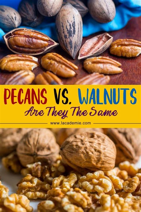 Pecans Vs Walnuts Nut Showdown 2024