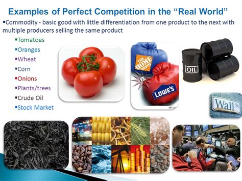 Perfect Competition In Marketing Free Essay Example