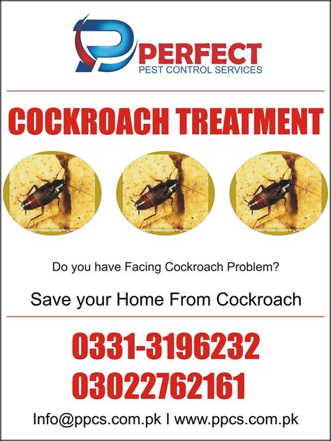 Perfect Pest Control Services Termite Proofing Treatment Bedbugs