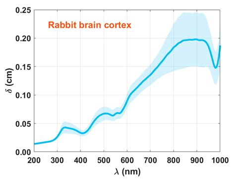 Photochem Free Full Text Spectral Optical Properties Of Rabbit Brain Cortex Between 200 And