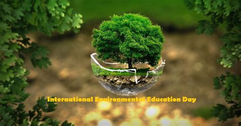 Pin On Environmental Education