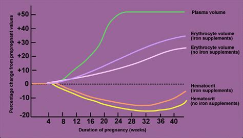 Plasma And Erythrocyte Volume Changes During Pregnancy