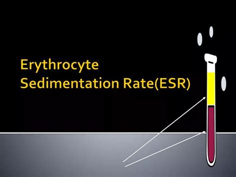 Ppt Erythrocyte Sedimentation Rate Esr Powerpoint Presentation Free Download Id 1861909