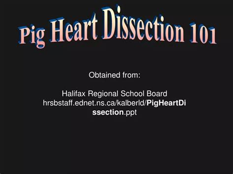 Ppt Pig Heart Dissection 101 Powerpoint Presentation Free Download