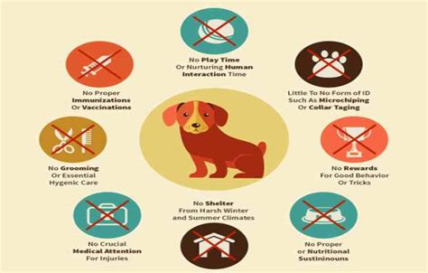 Procedure Or Ways To File A Complaint For Animal Cruelty In India How Amp Where To Report Animal