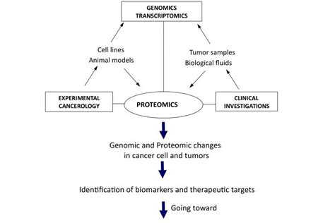 Proteomics And Target Identification In Oncology European Pharmaceutical Review