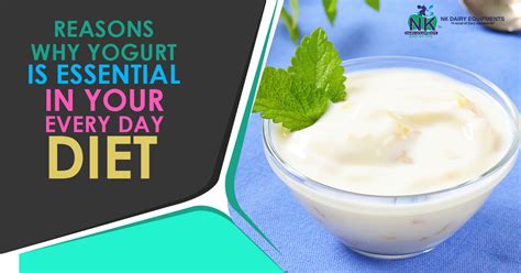 Reasons Why Yogurt Is Essential In Your Everyday Diet