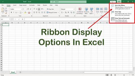 Ribbon Display Options In Excel Advanced Excel Ms Excel Excel