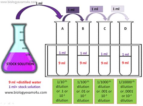 Serial Dilution Protocol Pdf Biology Exams 4 U Medical Laboratory Technician Medical