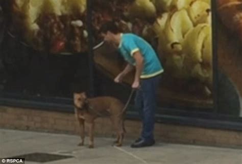 Sickening Video Shows Man Beating Dog Outside Co Op In Islington