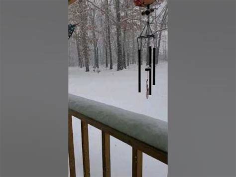 Snowing 5 Foot Inches Jan 15 9 15 Am Rock Creek Rd Amp Quot Philam Country Living Amp Quot Youtube