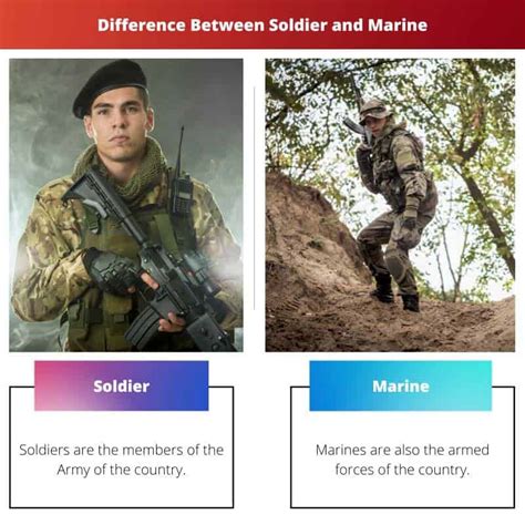 Soldier Vs Marine Difference And Comparison