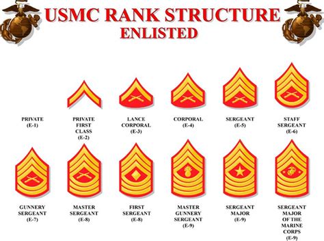 Staff Sergeant Promotion List Usmc 2025 Fred S Stitt