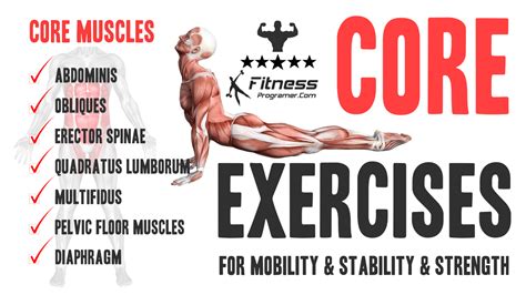 Strengthen Your Core Muscle To Build A Better Body In 2020 Best Core