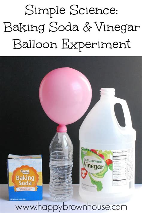 Sugar Yeast Balloon Experiment Happy Brown House