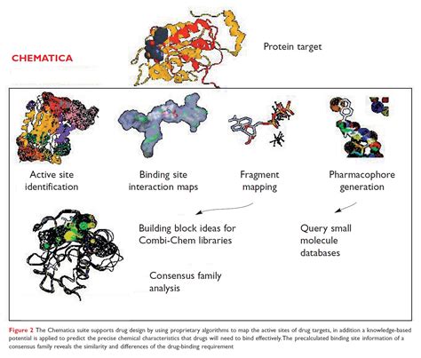 Target Discovery And Drug Design Extracting The Value From Genomics Drug Discovery World Ddw