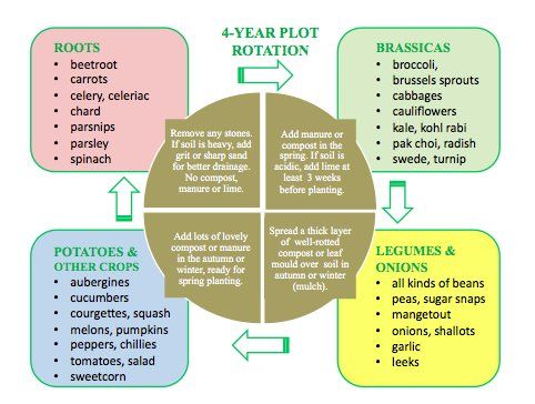 Team Woolly On Twitter 4 Year Crop Rotation Read On For The Woolly