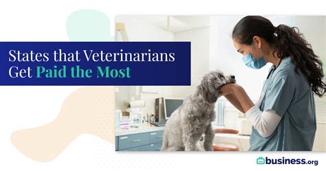 The Best Paying States For Veterinarians In 2021 Business Org