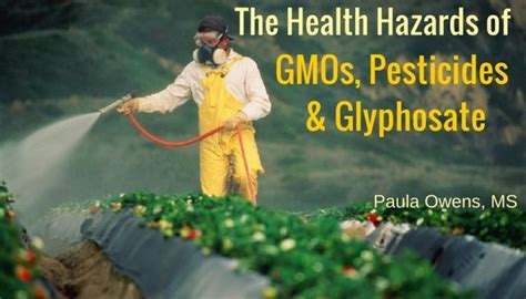 The Health Hazards Of Gmos Pesticides Glyphosate Paula Owens