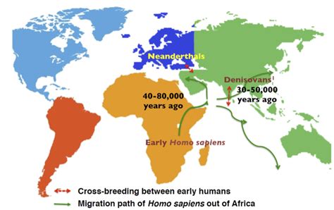 The Not So Secret Life Of Our Inner Neanderthal Science In The News