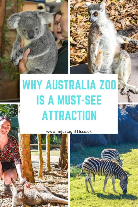 The Ultimate Australia Zoo Review Opening Times Tickets Prices Artofit