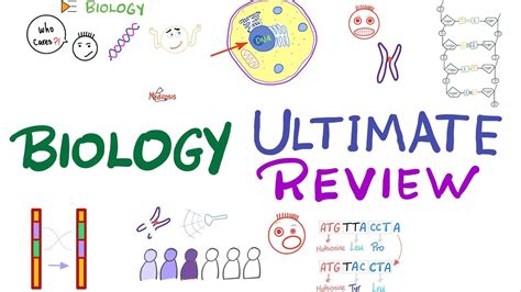 The Ultimate Biology Review Last Night Review Biology In 1 Hour