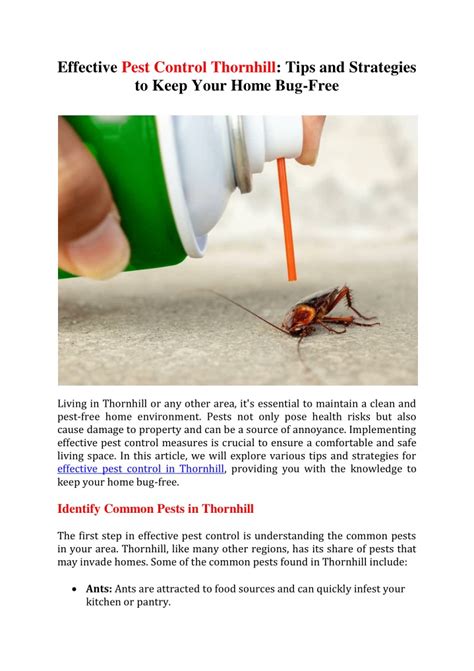 The Ultimate Guide To Pest Control Effective Strategies To Keep Your