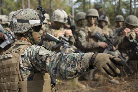 U S Marines With Delta Company Infantry Training Battalion School Of