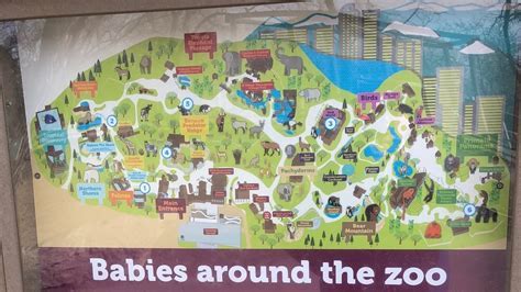 Ultimate Guide To Getting Chattanooga Zoo Ebt Discounts Now Hebrew Jpost