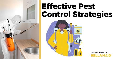 Ultimate Guide To Perfect Pest Control Strategies