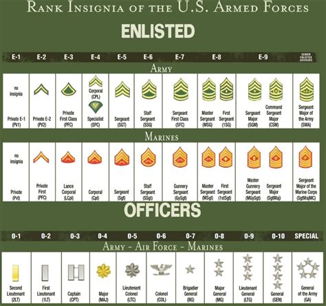 Understanding Army Ranks A Comprehensive Guide