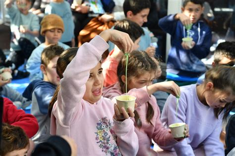 Unleash Your Inner Scientist Brimbank North West