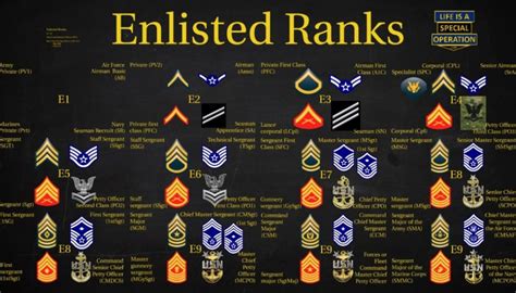 Us Military All Branches Enlisted Ranks Explained