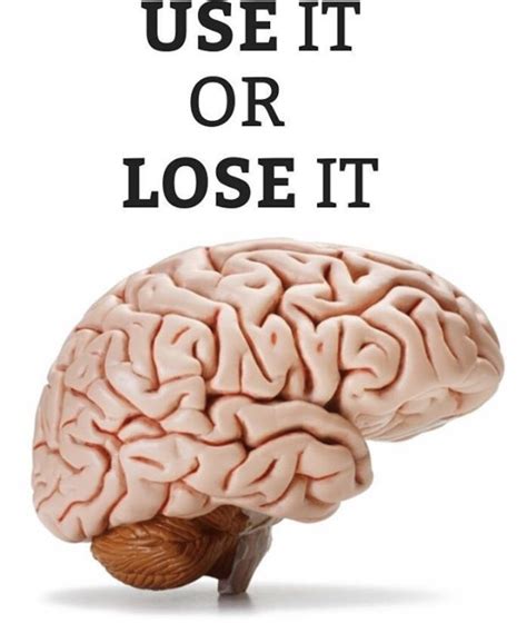 Use It Or Lose It Brain Development Principle 9 Important Things You