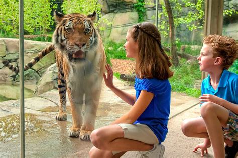 Visiting Indianapolis Zoo Information Tips Exhibits