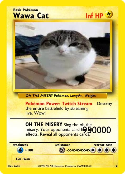 Wawa Cat Pokemon Memes Imgflip